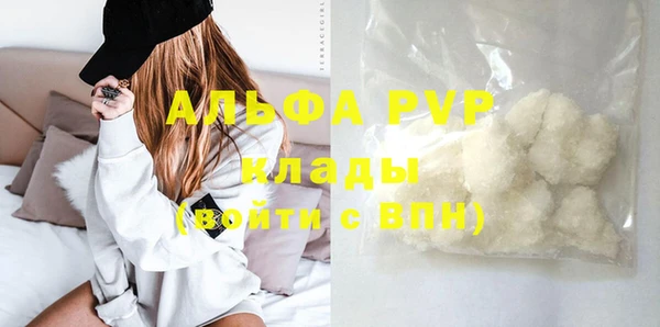 apvp Алзамай