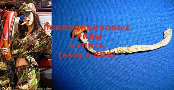 apvp Алзамай