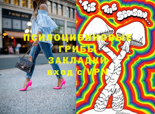 apvp Алзамай