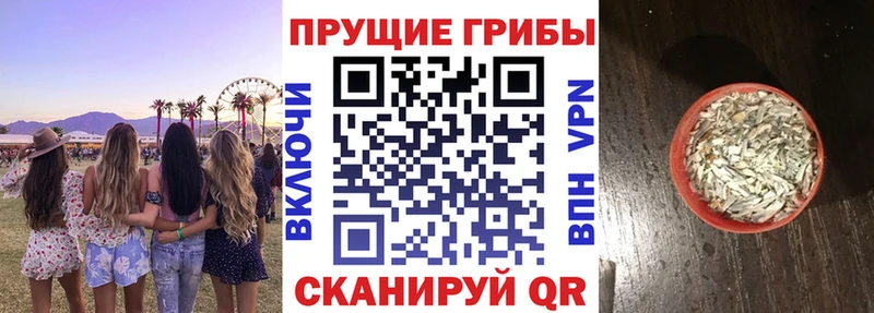Псилоцибиновые грибы мицелий  Олонец 